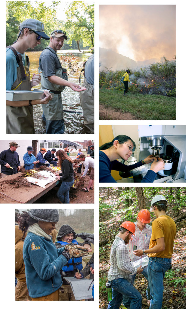 A collage of students and researchers working in the lab and in the field in various natural resources subjects.