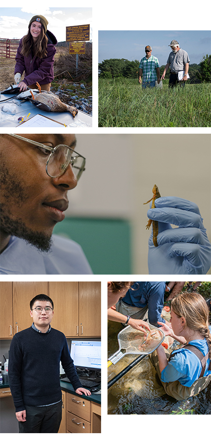A collage of graduate students working in the lab and in the field in various natural resources positions..