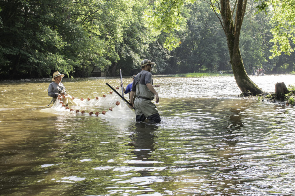 Fisheries researchers seining during an index of biotic integrity.