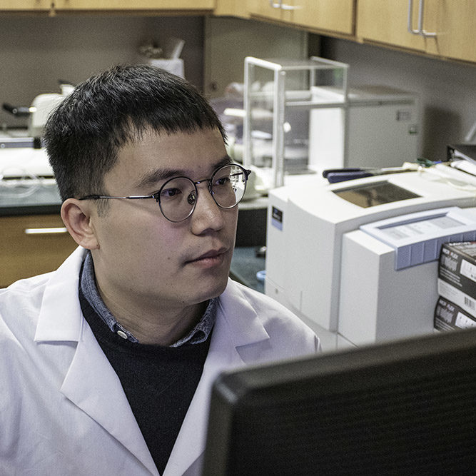 A doctoral student studies carbon fiber applications at the Center for Renewable Carbon. 
