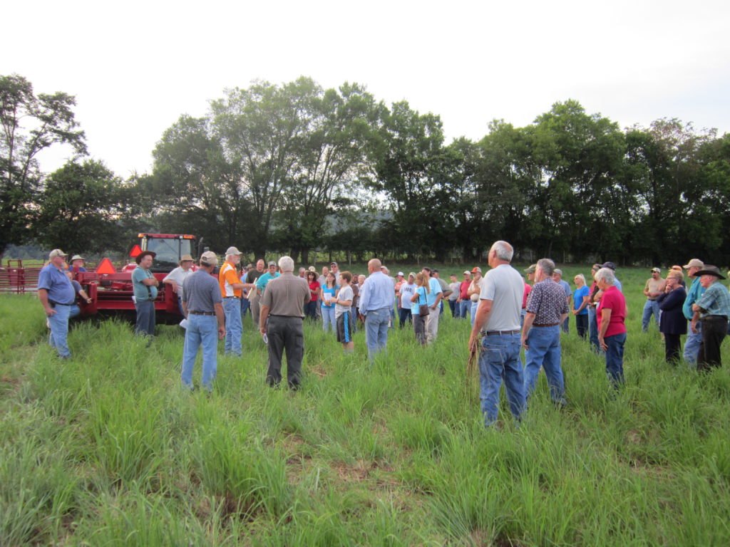 Pat Keyser teaches a seminar on native grasslands in a field at the Holston Research Unit.