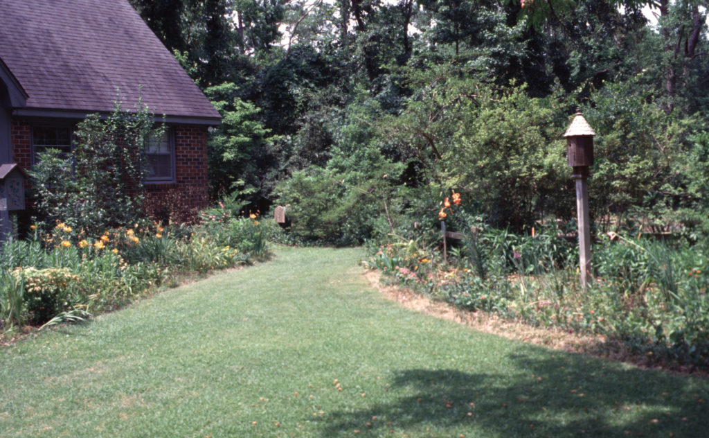 Back yards can be designed to benefit wildlife, such as this one with thick, brushy areas and bird feeders.