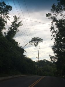 Fallen trees that come in contact with high-voltage powerlines are extremely dangerous.